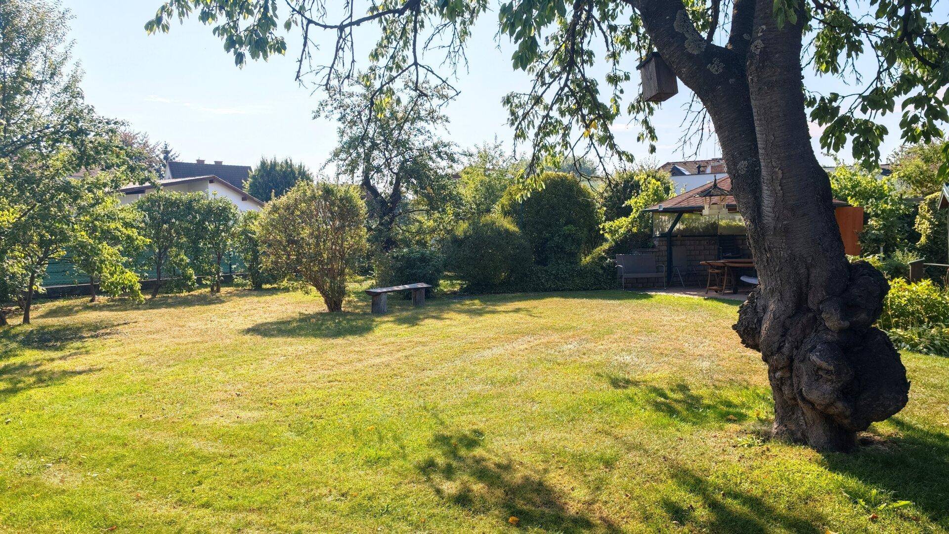 Weitläufiger Garten mit altem Baumbestand, Rasenfläche und einem kleinen Sitzbereich im Hintergrund.