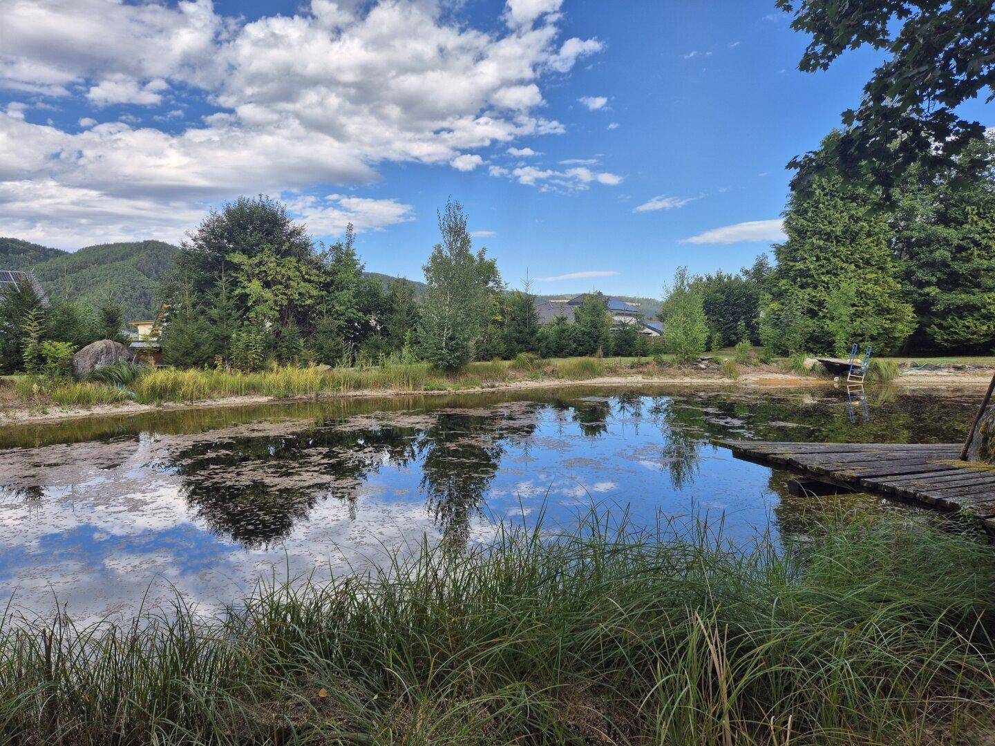 Ruhiger Teich umgeben von üppigem Grün und Bäumen unter blauem Himmel mit Wolkenformationen.