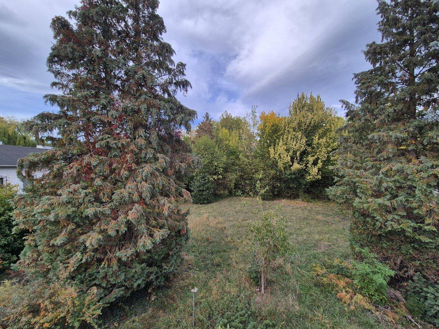 Großer, ungenutzter Gartenbereich mit altem Baumbestand und viel Grünfläche.