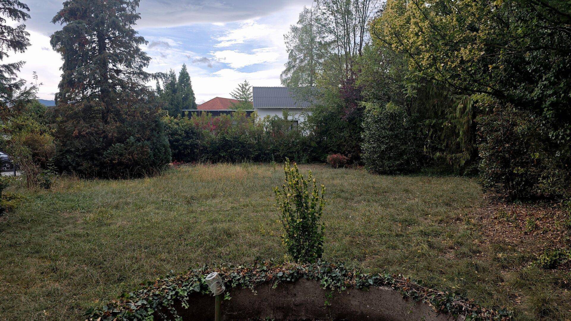 Große Rasenfläche mit üppiger Vegetation und Bäumen, im Vordergrund eine niedrige Bepflanzung, im Hintergrund ein Hausdach.