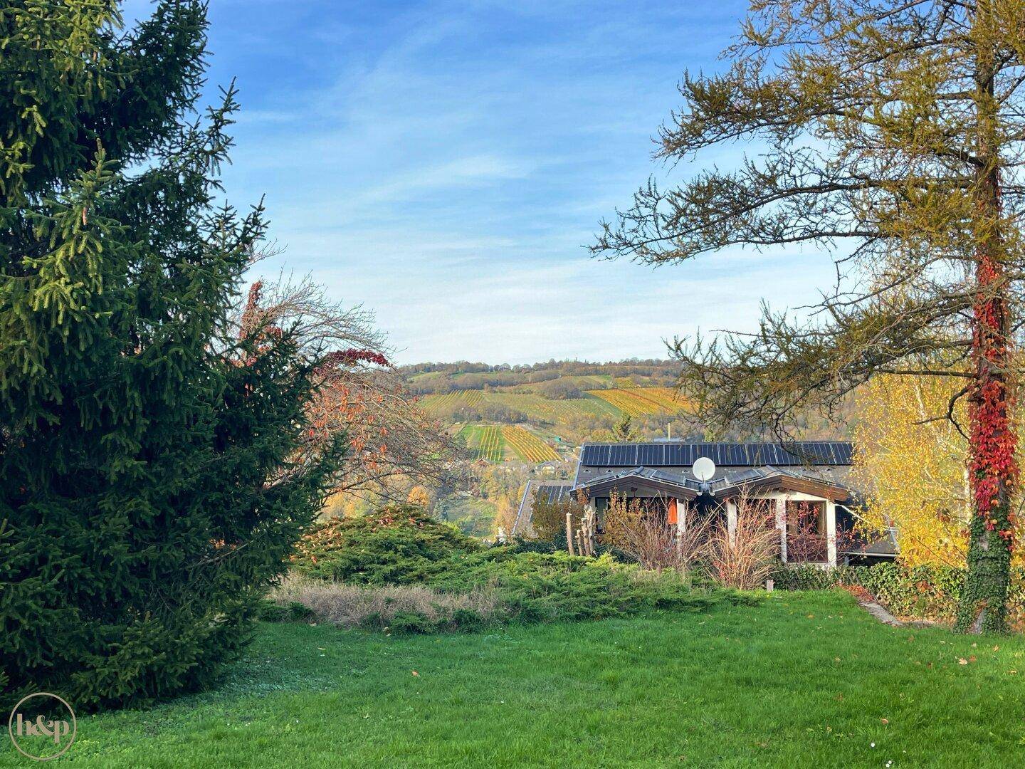 Weitläufiger Gartenbereich mit grüner Wiese und malerischem Blick auf die Weinberge.