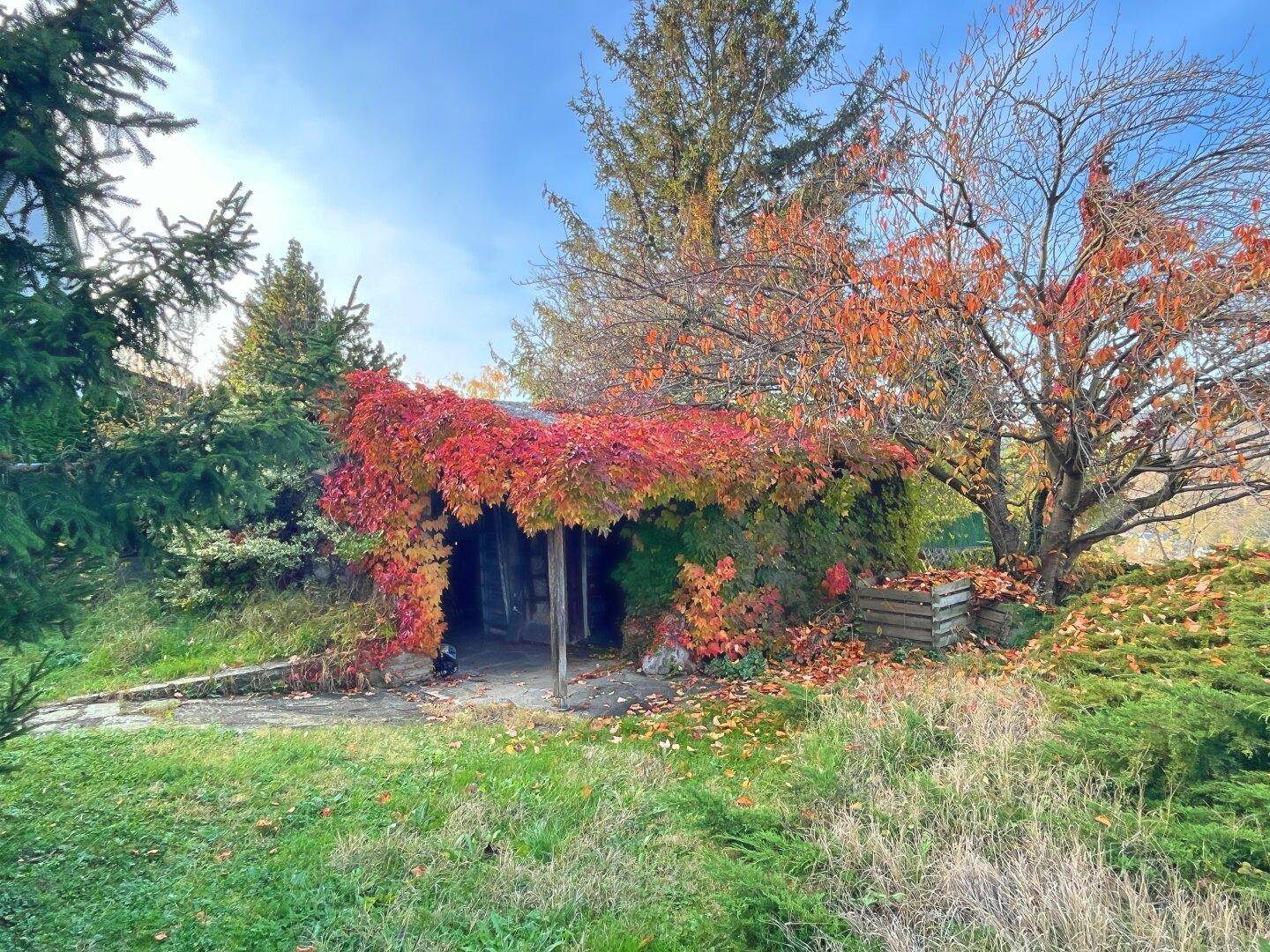 Rustikale, mit rotem Efeu bewachsene Gartenhütte inmitten einer grünen Rasenfläche.