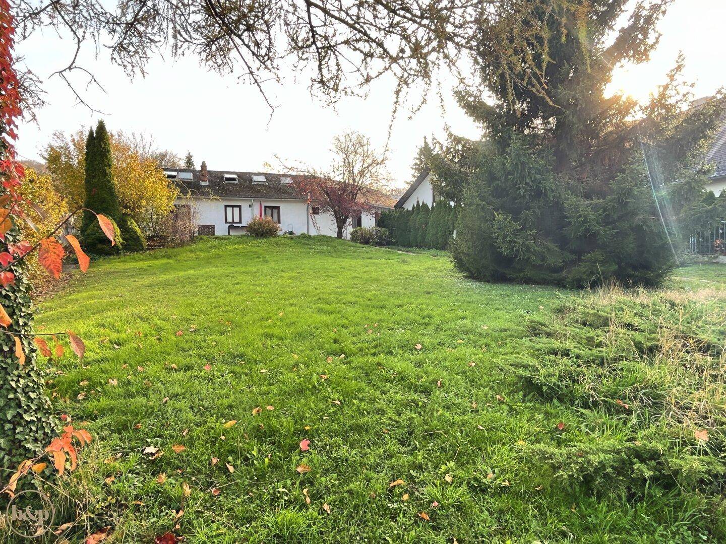 Weitläufiger grüner Garten mit altem Baumbestand und einem Wohnhaus im Hintergrund.