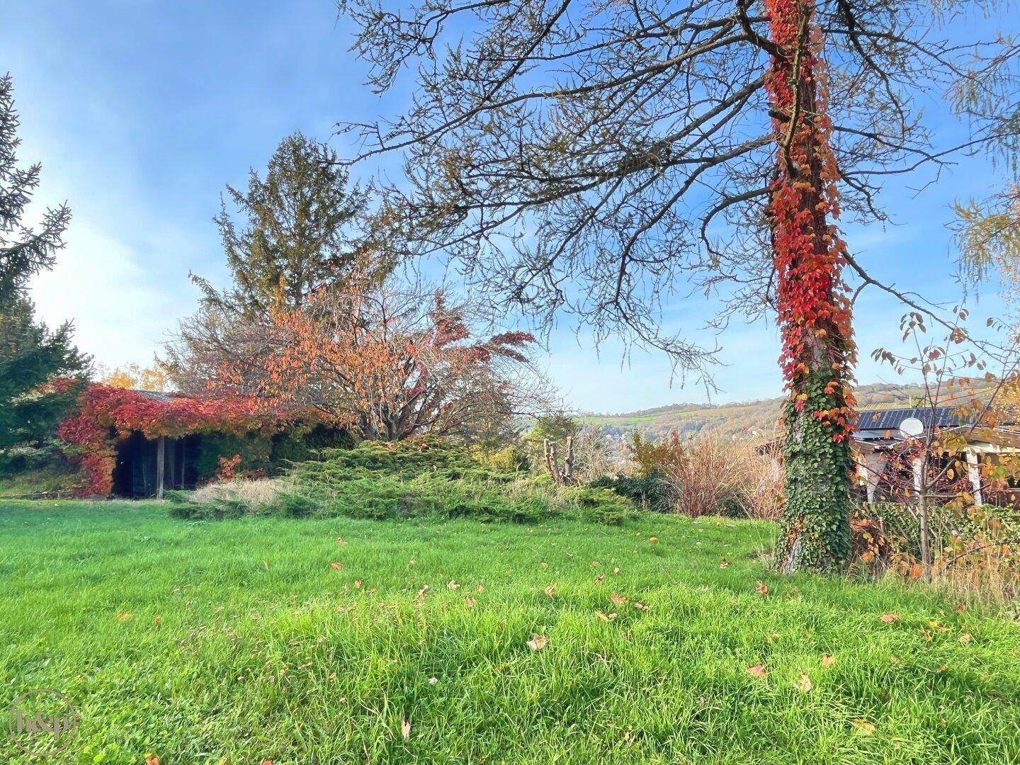 Garten mit üppigem Grün, einem von rotem Efeu bewachsenen Schuppen und Herbstlaub.