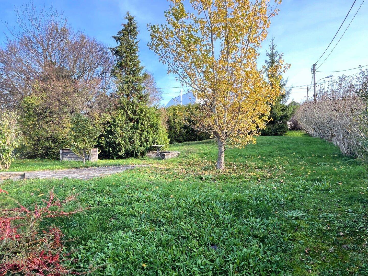 Garten mit einem kleinen Weg, Bäumen mit Herbstlaub und einer dichten Hecke.