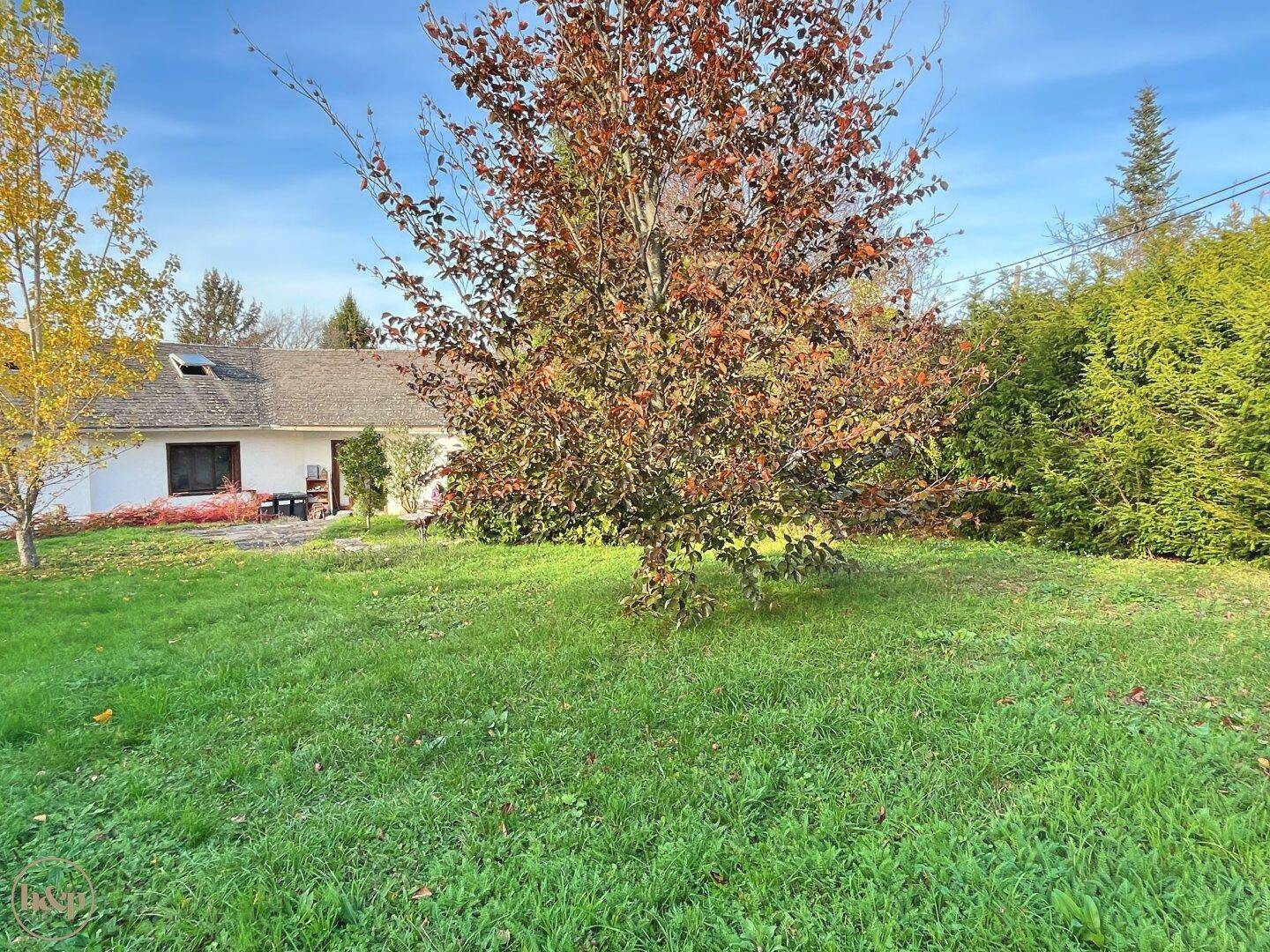 Großer Garten mit Rasenfläche und bunten Herbstbäumen, im Hintergrund ein Wohnhaus.