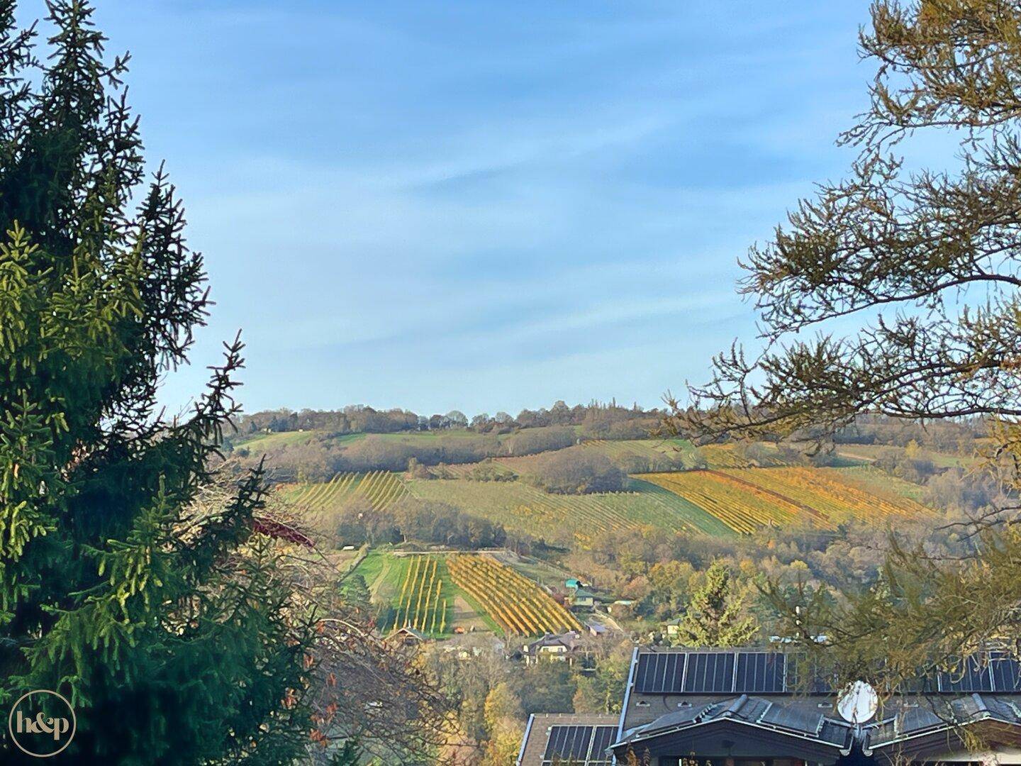 Malerischer Blick auf die weitläufigen Weinberge und die hügelige Landschaft.