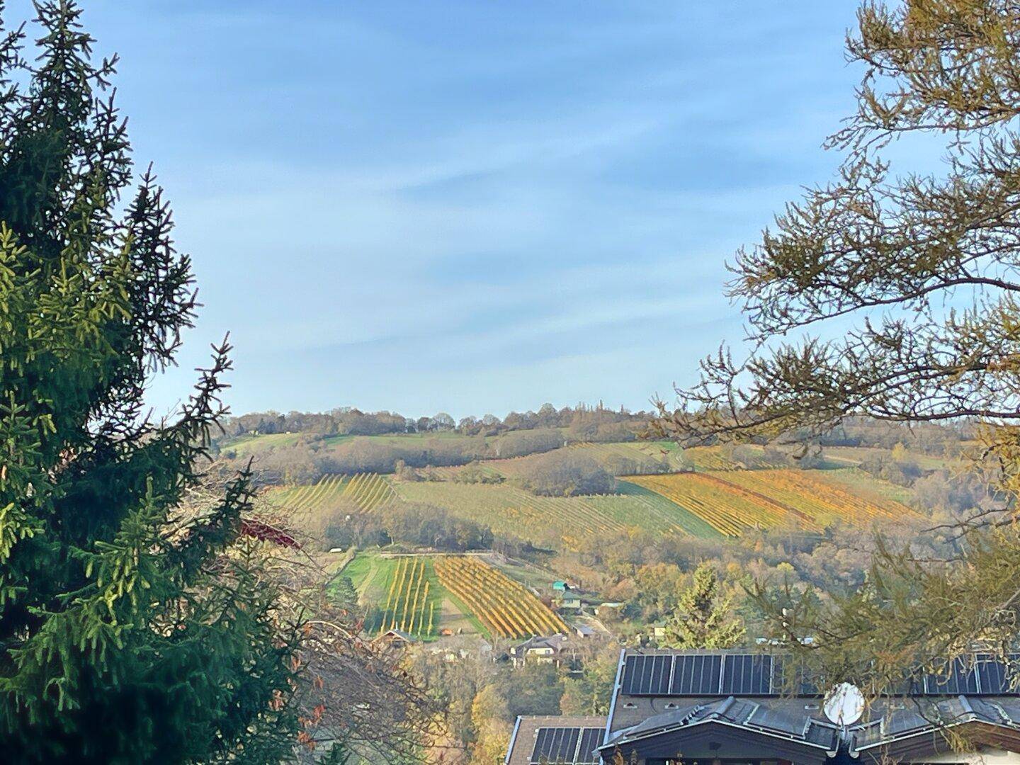 Idyllischer Ausblick auf die sanften Hügel mit Weinreben und die weite Landschaft.