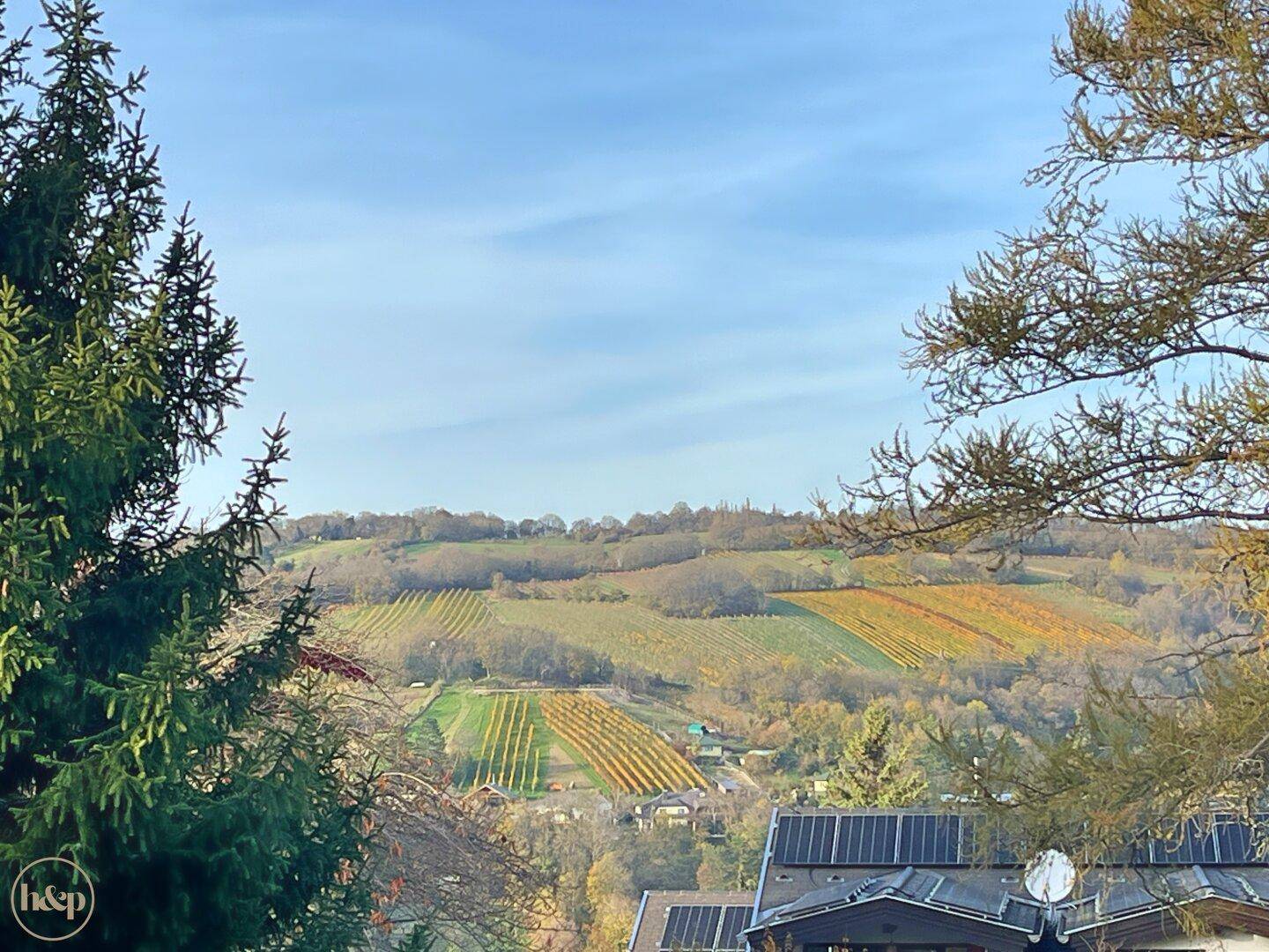 Panoramablick auf die sonnigen Weinberge und die grüne, hügelige Umgebung.