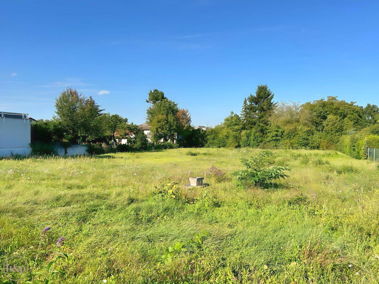Offenes Wiesengrundstück mit natürlicher Vegetation und sonnigem Wetter, bereit zur Bebauung.