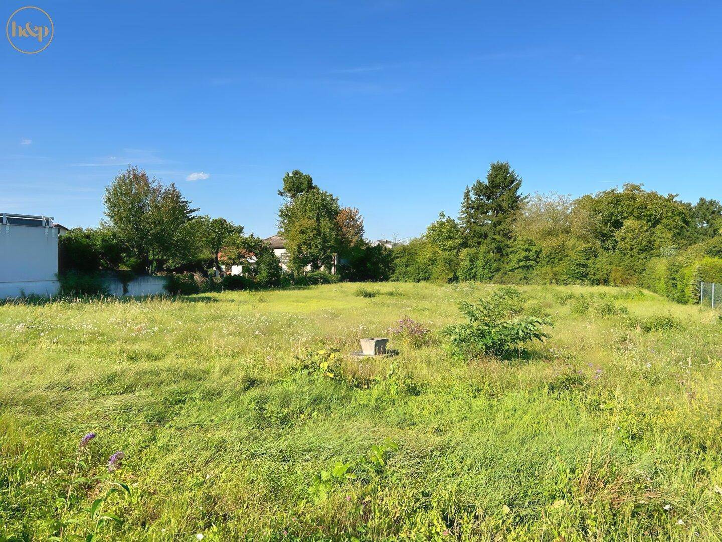 Offenes, sonniges Grundstück mit üppigem Grün und vereinzelten Bäumen am Horizont.