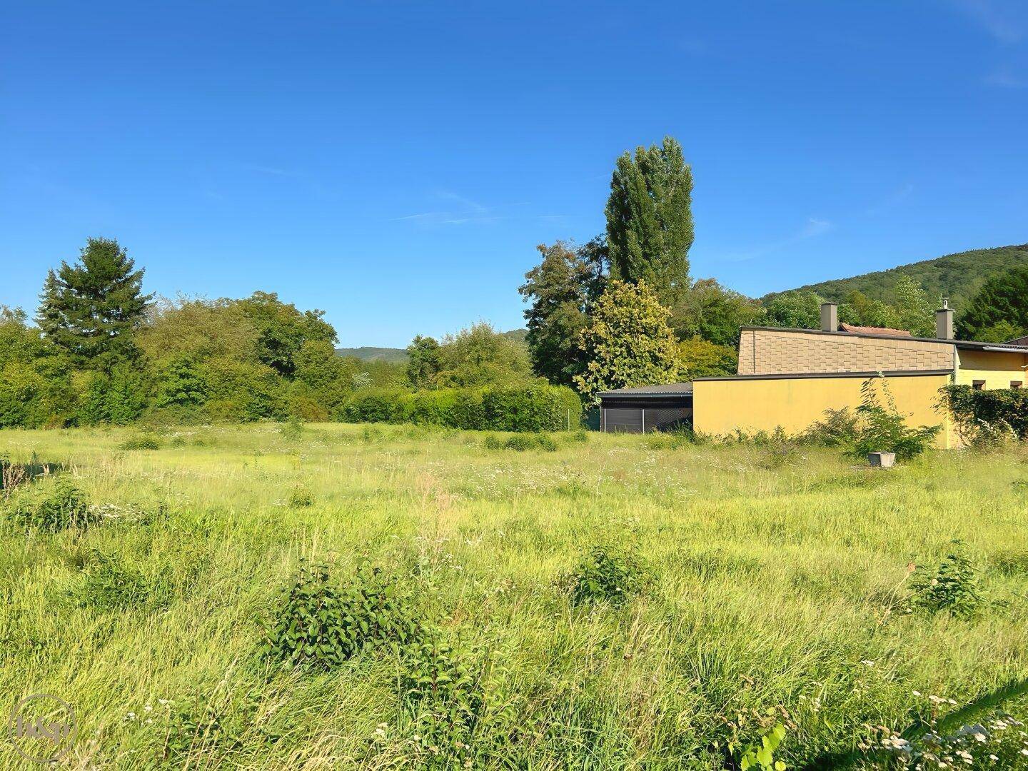 Großes, unbebautes Grundstück mit Wiese und Bäumen, umgeben von ländlicher Landschaft.