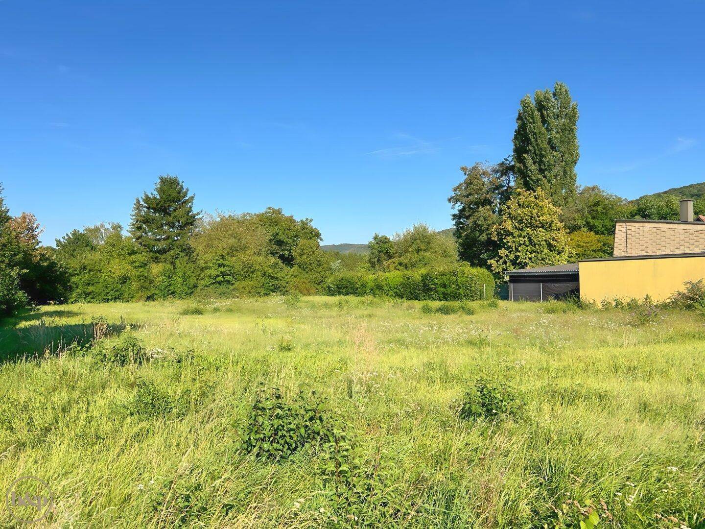 Weitläufige Grünfläche mit hohem Gras und Bäumen im Hintergrund, ideal für Neubau.