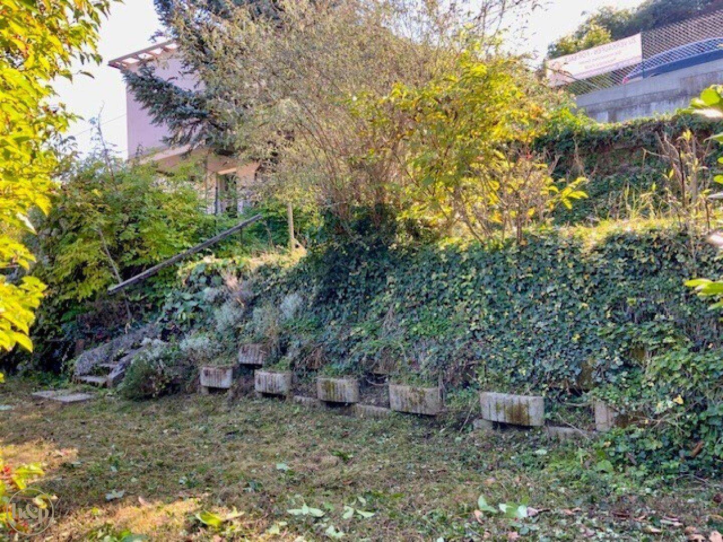 Verwilderter Garten mit alten Betonstufen und einer mit Efeu bewachsenen Mauer, die auf Pflege wartet.
