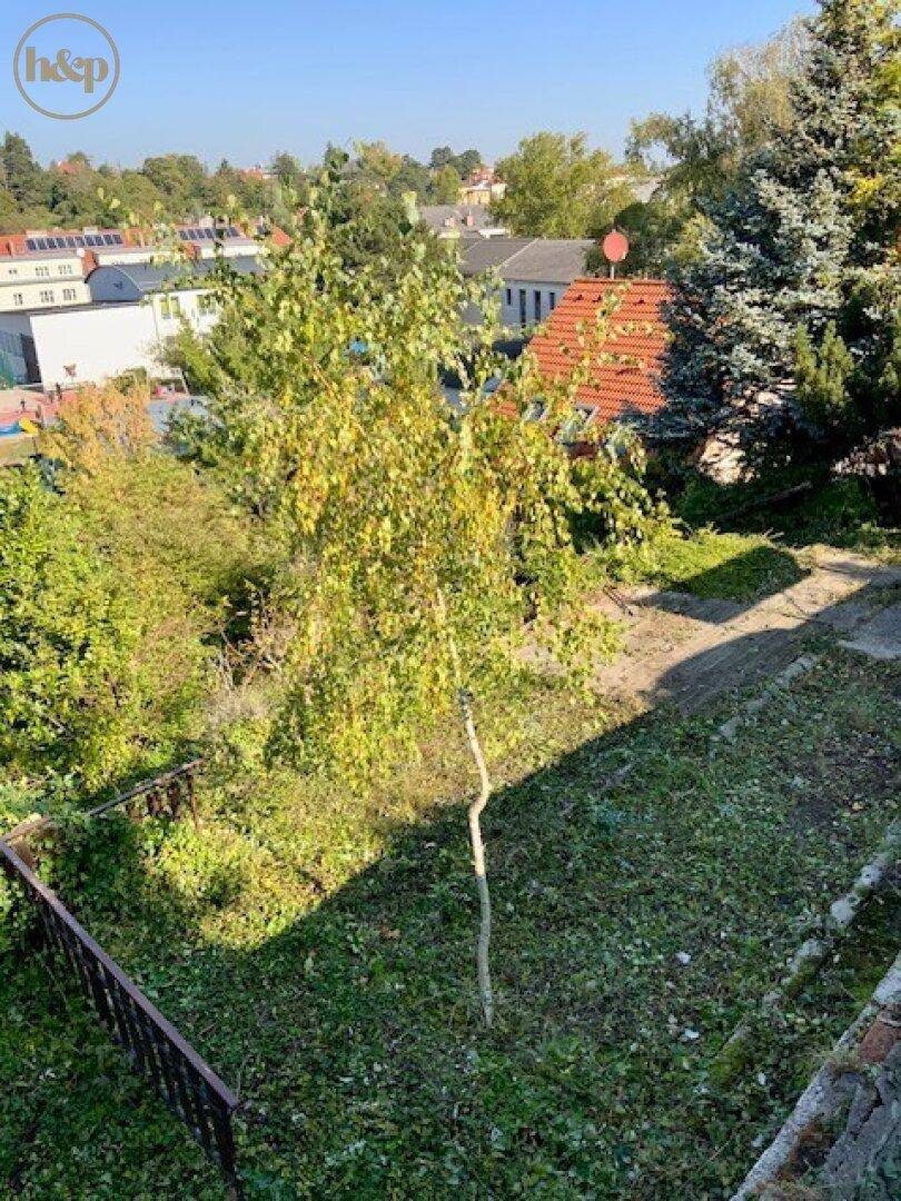 Blick von oben auf einen Gartenbereich mit einem jungen Baum und Dächern von Häusern in der Ferne.