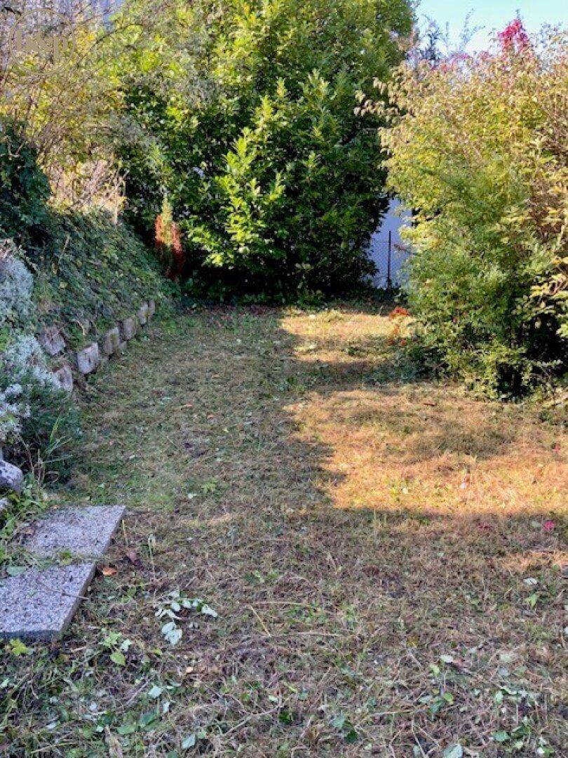 Teil des Gartens mit gemähtem Rasen, einer niedrigen Steinmauer und üppigen Büschen im Hintergrund.