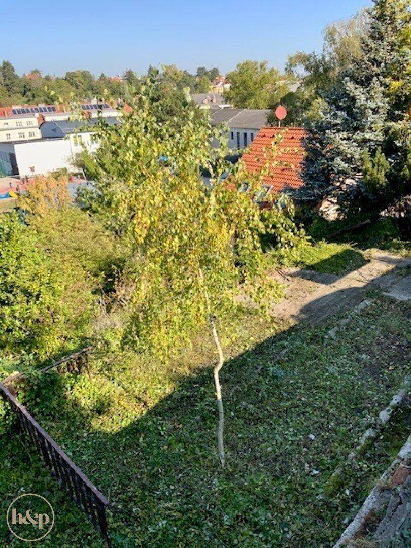 Erhöhter Blick auf einen verwilderten Gartenbereich mit einem jungen Baum und Dächern in der Ferne.