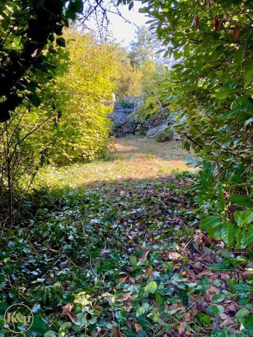 Ein schmaler Pfad führt durch dichte Vegetation und Laub in einem verwilderten Gartenbereich.