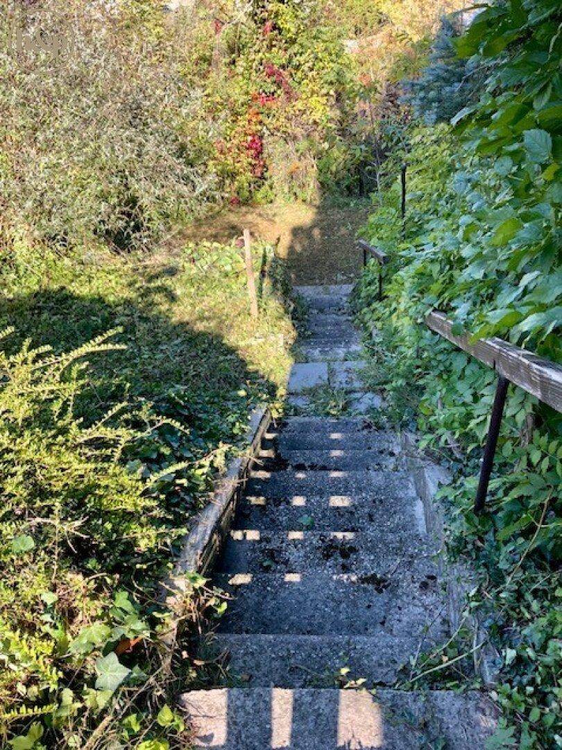 Alte Betontreppe, die einen bewachsenen Hang hinunterführt, umgeben von üppiger Vegetation.