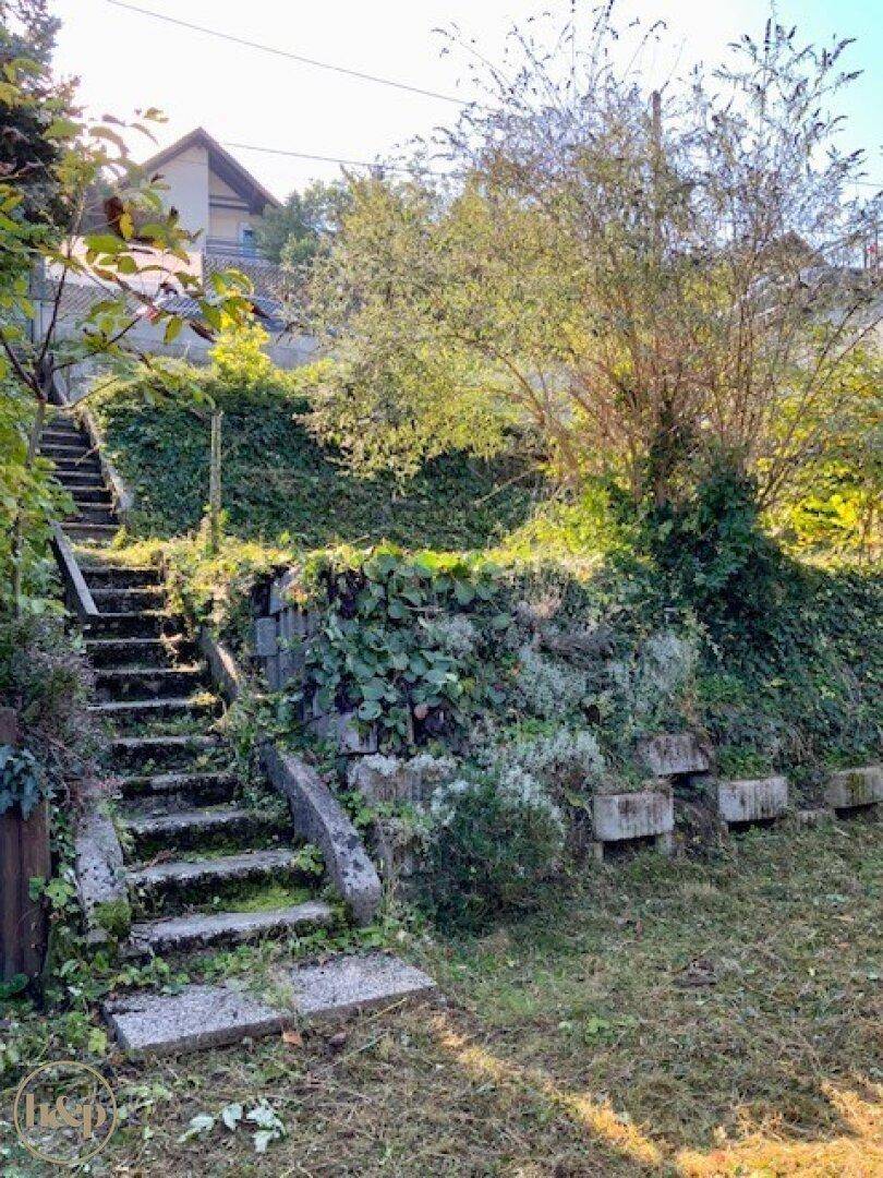 Sonniger Gartenbereich mit alten Steinstufen und einer mit Pflanzen bewachsenen Böschung, die Pflege benötigt.