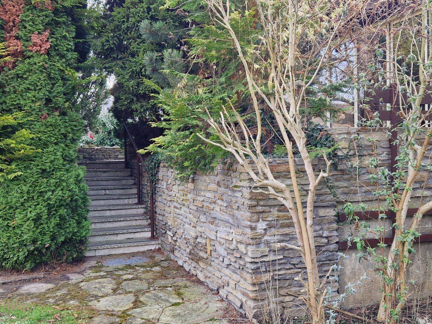 Steintreppe und Mauerwerk umgeben von üppigem Grün im Außenbereich des Grundstücks.