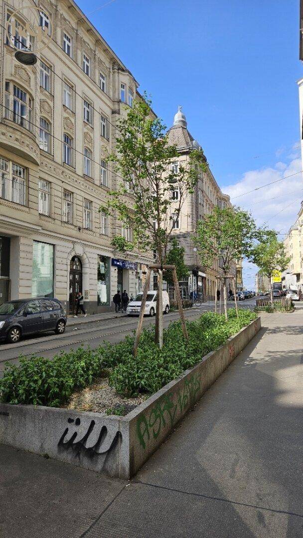Belebtes Stadtbild mit Straßenbahnlinie, Bäumen und historischen Gebäuden unter blauem Himmel.