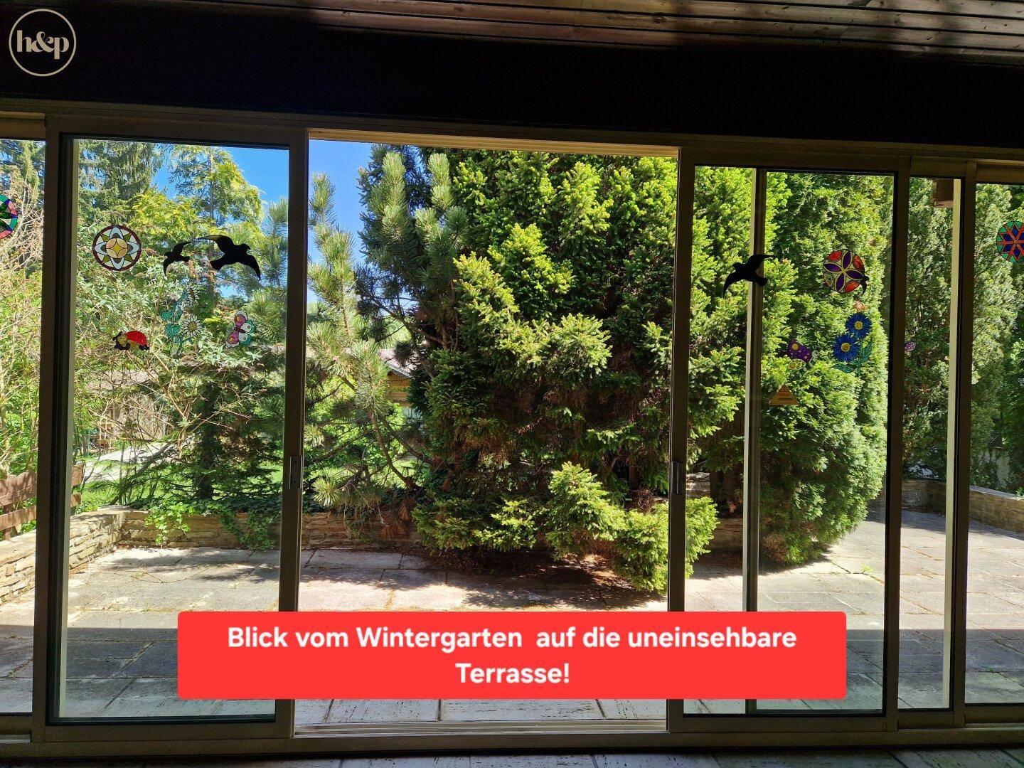 Blick vom Wintergarten auf die sonnige Terrasse und den grünen Außenbereich.