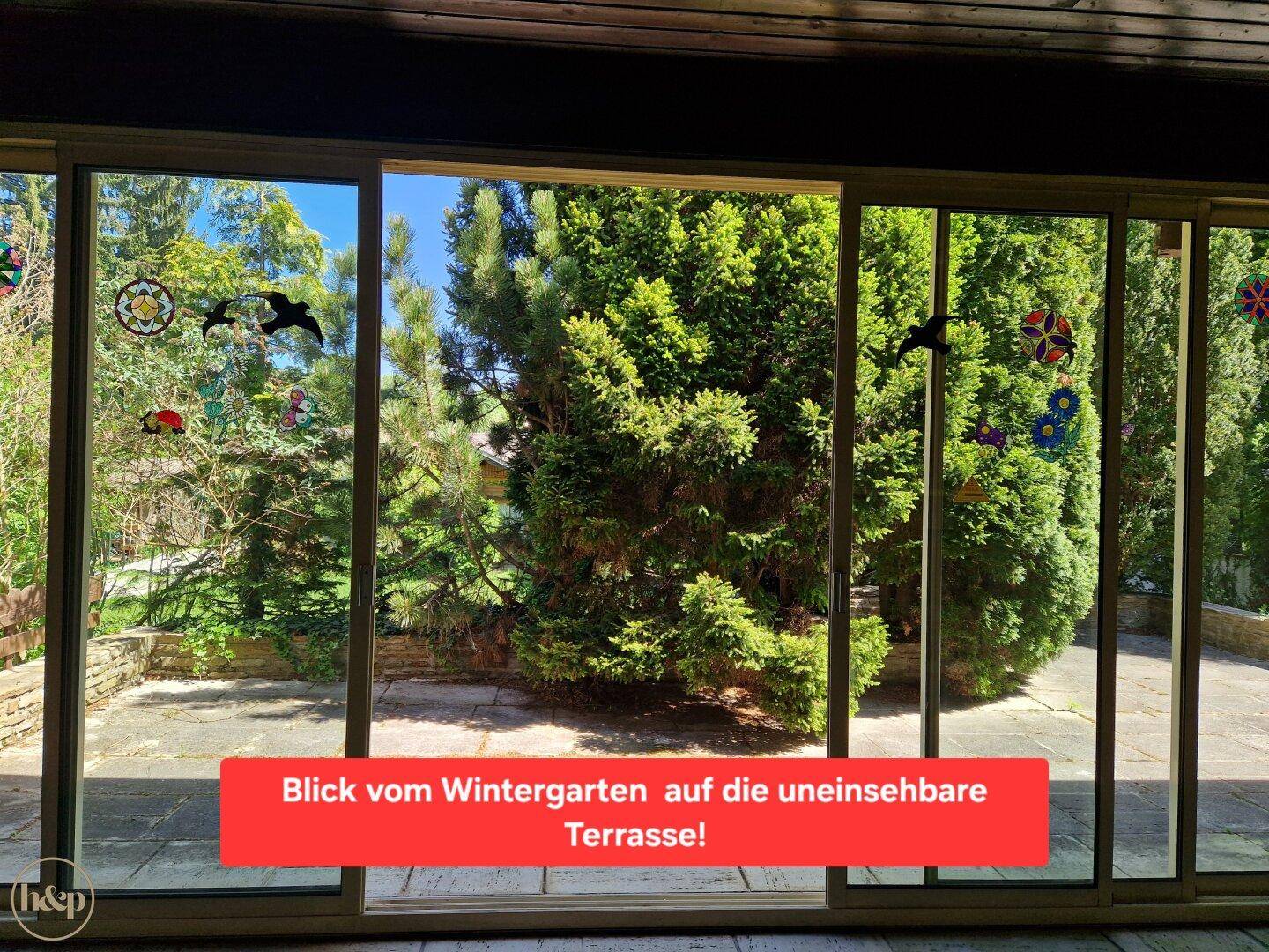 Blick aus dem Wintergarten auf die grüne, uneinsehbare Terrasse mit Bäumen.