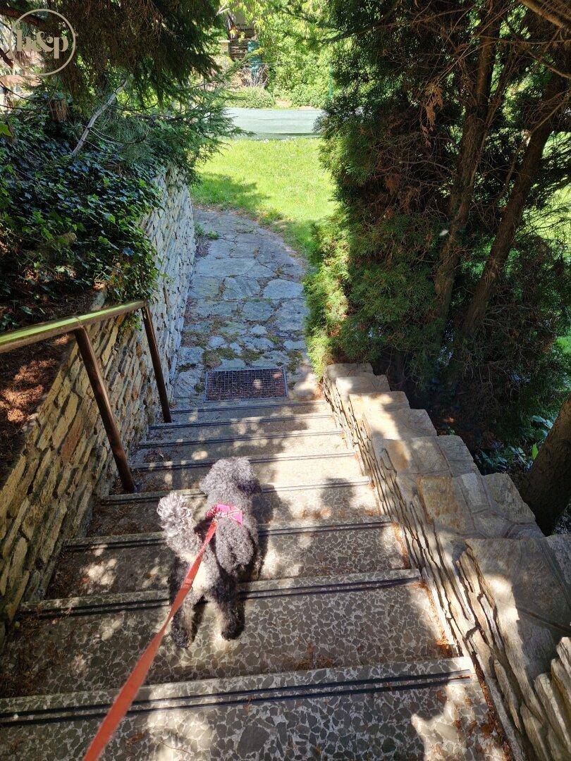Steintreppe führt hinunter in den weitläufigen Gartenbereich mit viel Grün.