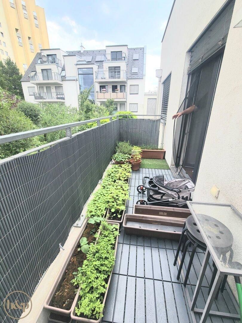 Schmaler Balkon mit Holzboden und Pflanzen, ideal für einen kleinen Kräutergarten im Freien.