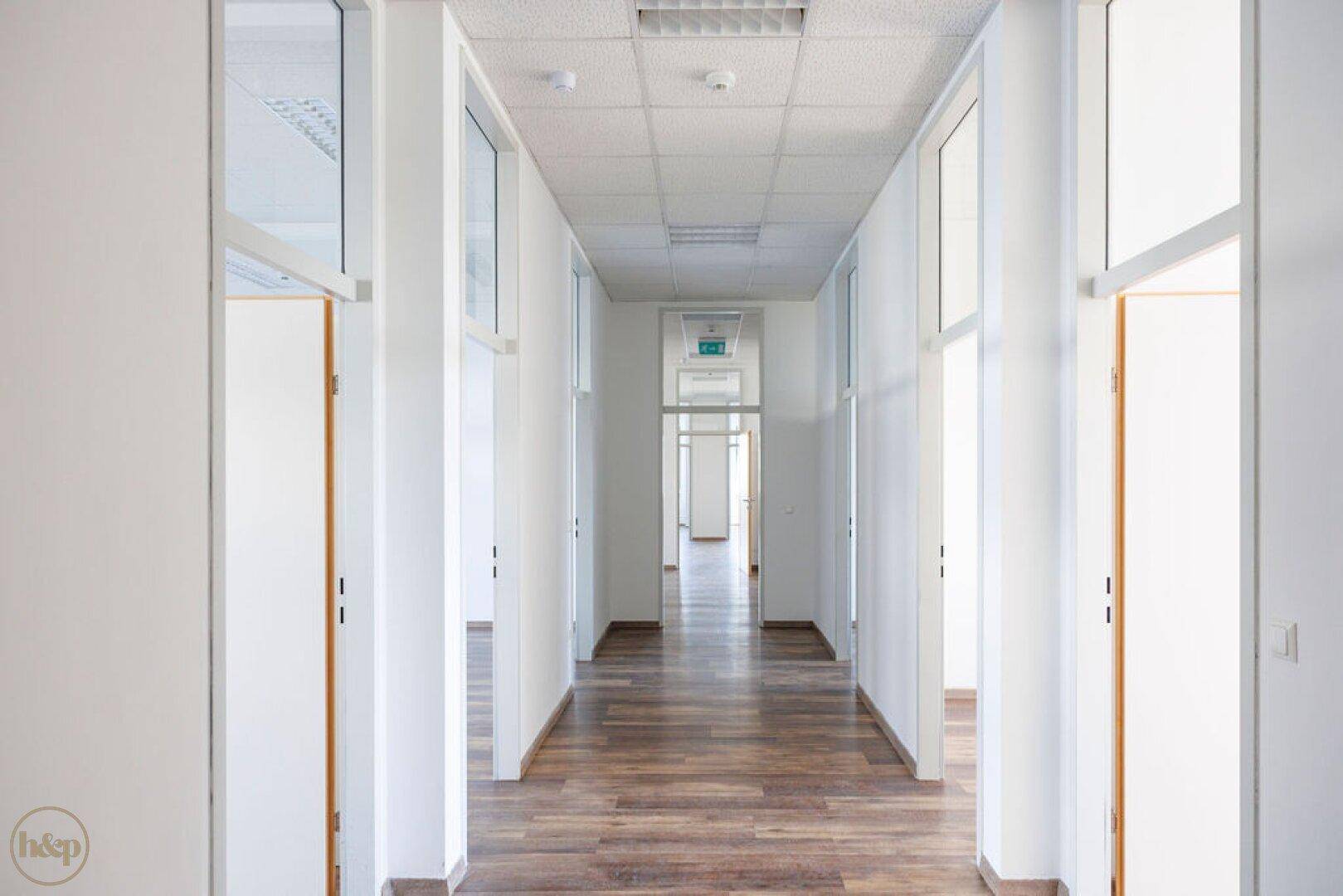 Langer, heller Flur mit mehreren Türen und durchgehendem Laminatboden.