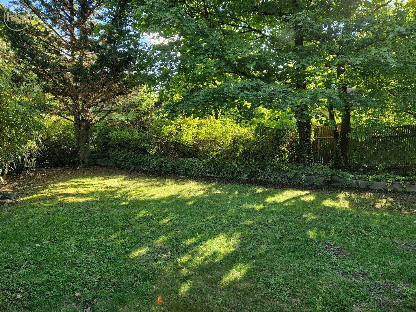 Grüner Gartenbereich mit altem Baumbestand und Rasenfläche, ideal zum Entspannen im Freien.