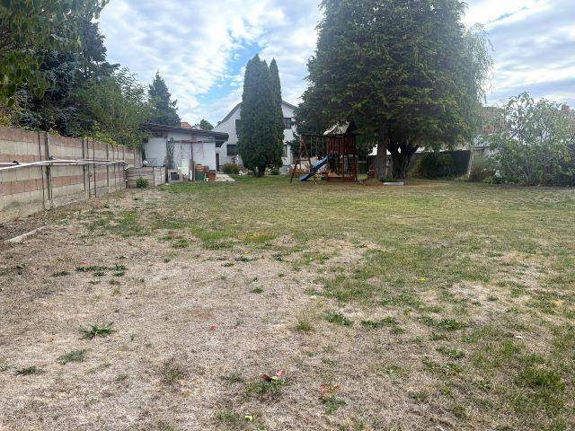 Große Rasenfläche im Garten mit einem Kinderspielplatz und hohen Bäumen im Hintergrund.