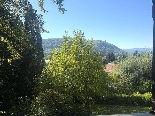 Weitläufiger Blick über die grüne Landschaft mit Hügeln und Bäumen unter strahlend blauem Himmel.