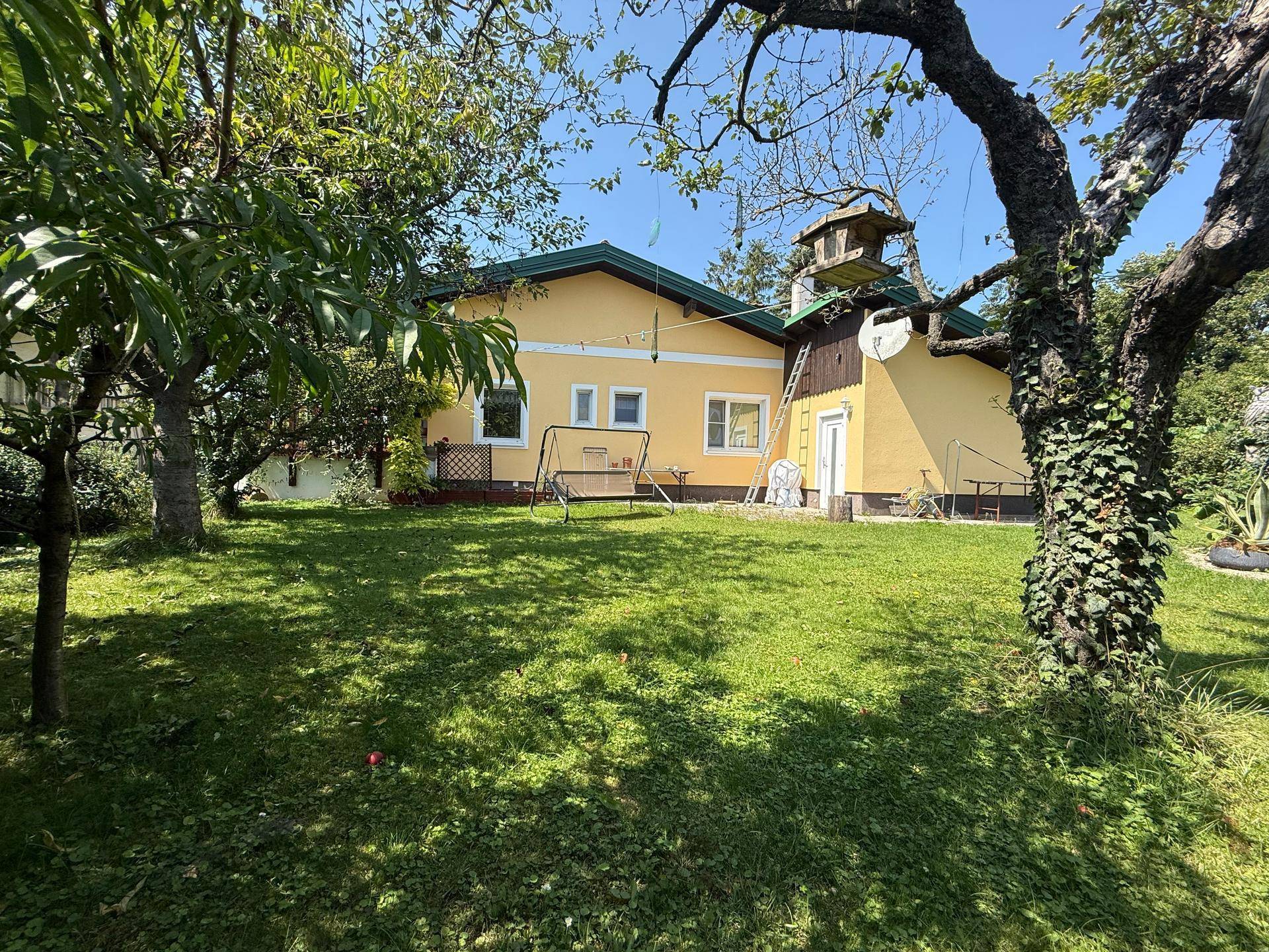 Slide 4