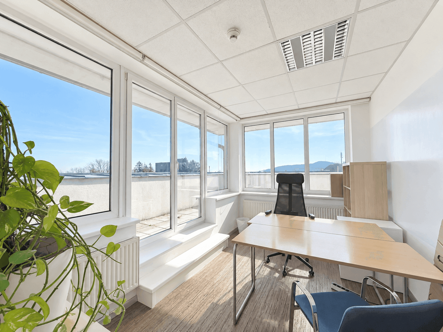 Möblierter Büroraum mit Schreibtisch, Pflanze und großen Fenstern mit Terrassenzugang.
