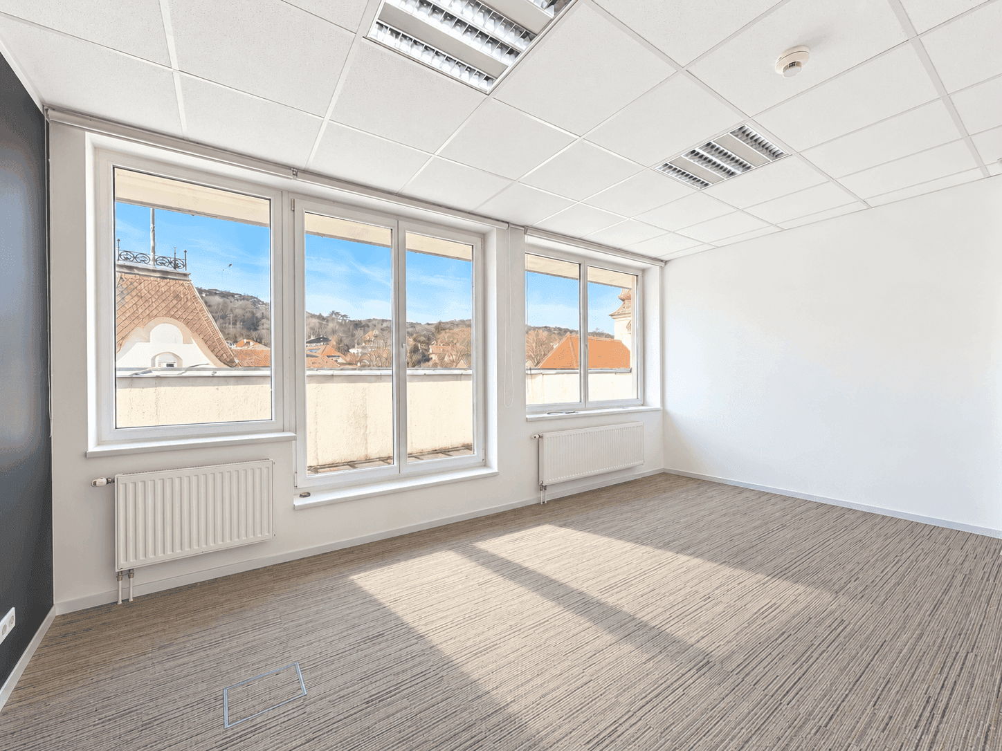 Geräumiger Büroraum mit Teppichboden, großen Fenstern und Blick auf die umliegenden Dächer.