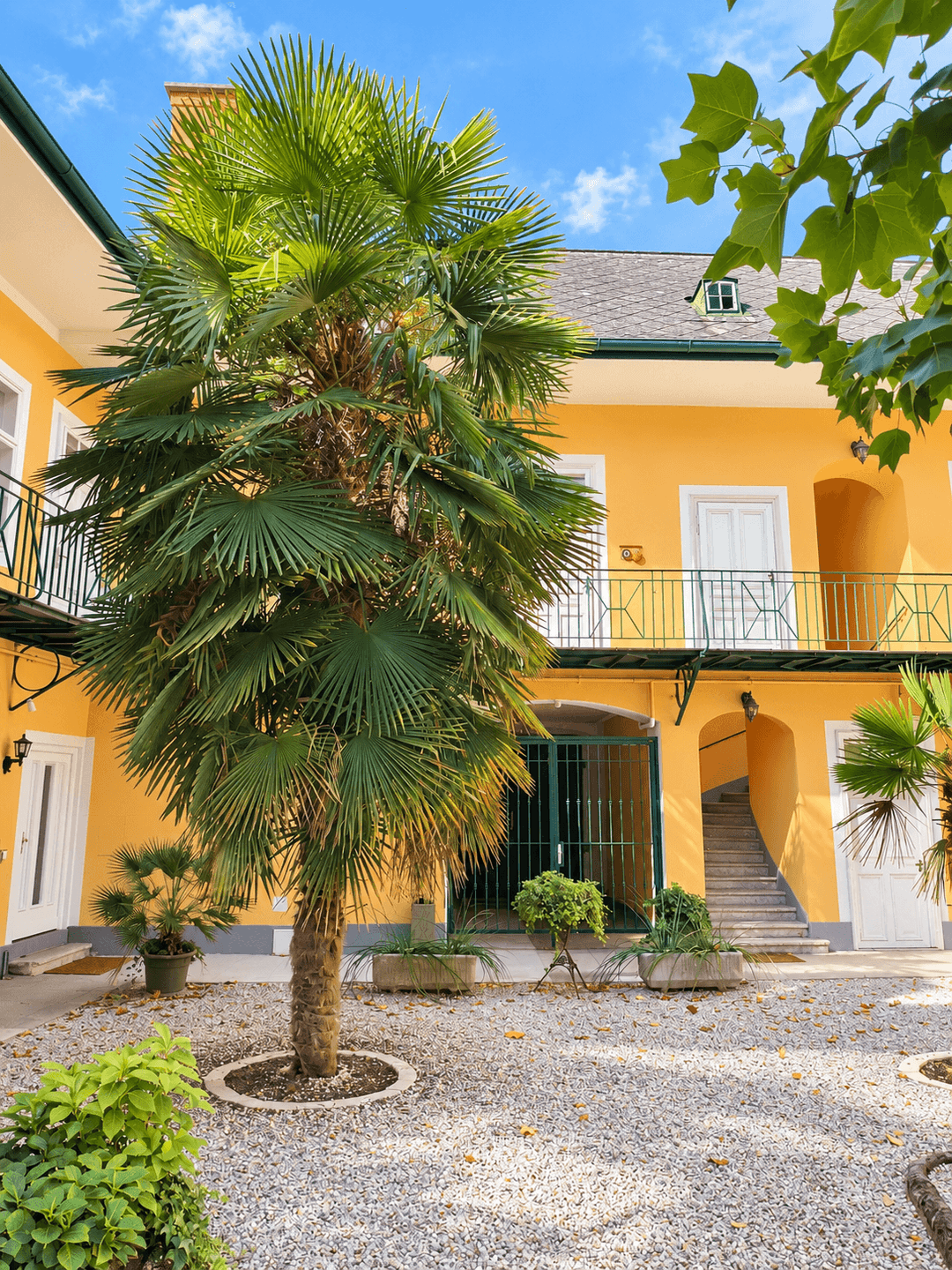 Begrünter Innenhof mit Palmen und Kiesboden, umgeben von gelben Gebäuden.