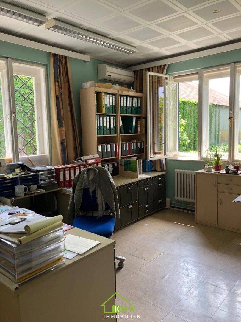 Geräumiges Büro mit vielen Fenstern, Aktenregalen und einem Schreibtisch mit Blick ins Grüne.