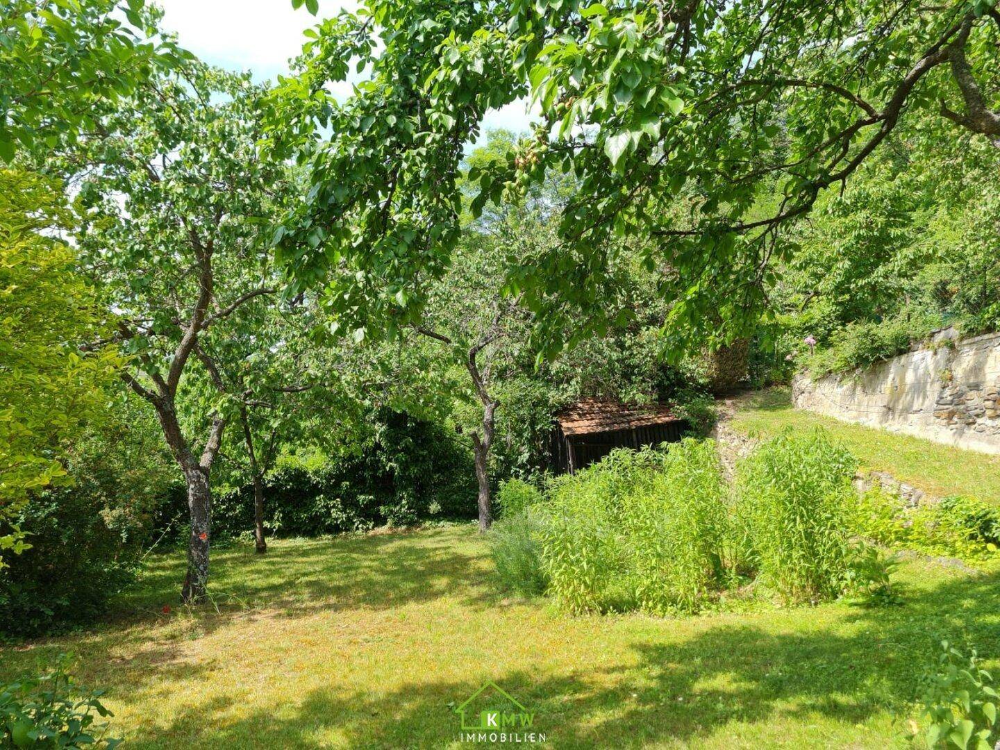 Naturbelassener Gartenbereich mit altem Baumbestand und einem kleinen Holzschuppen.