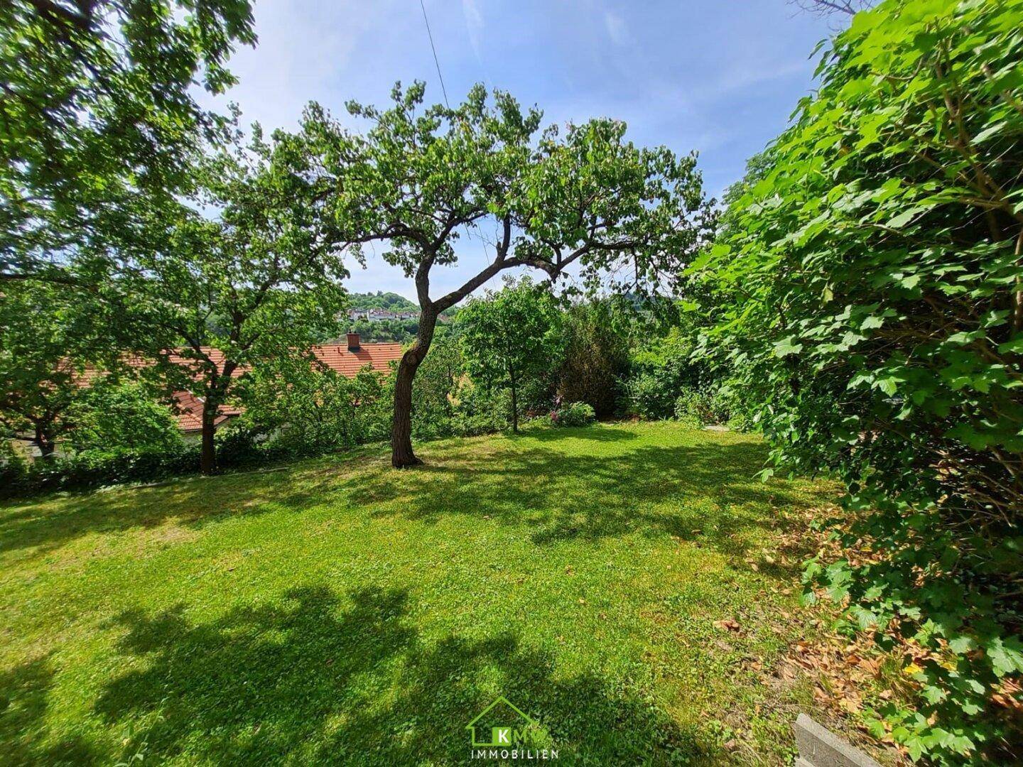 Großer Garten mit Rasen und Bäumen, der einen weiten Blick in die Umgebung bietet.