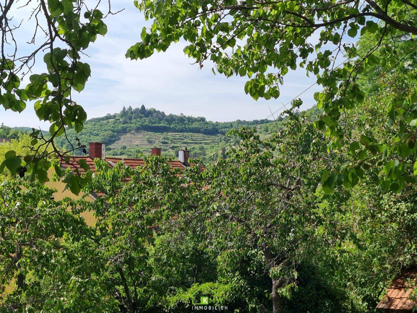 Weitläufiger Blick über die bewaldete Landschaft mit einem Hügel in der Ferne.