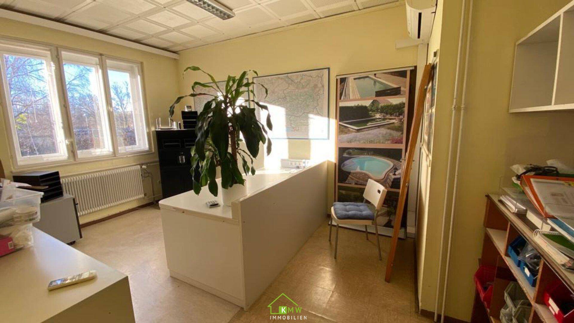 Helles Büro mit großem Fenster, Schreibtisch, Zimmerpflanze und Klimaanlage an der Wand.