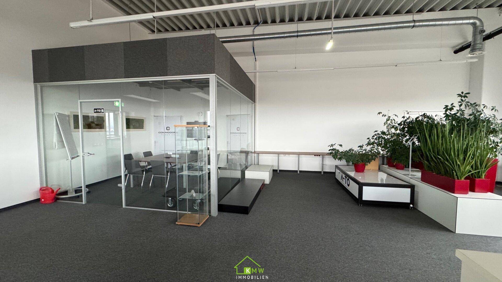 Offenes Büro mit Teppichboden, Pflanzen und einem gläsernen Besprechungsraum in moderner Gestaltung.
