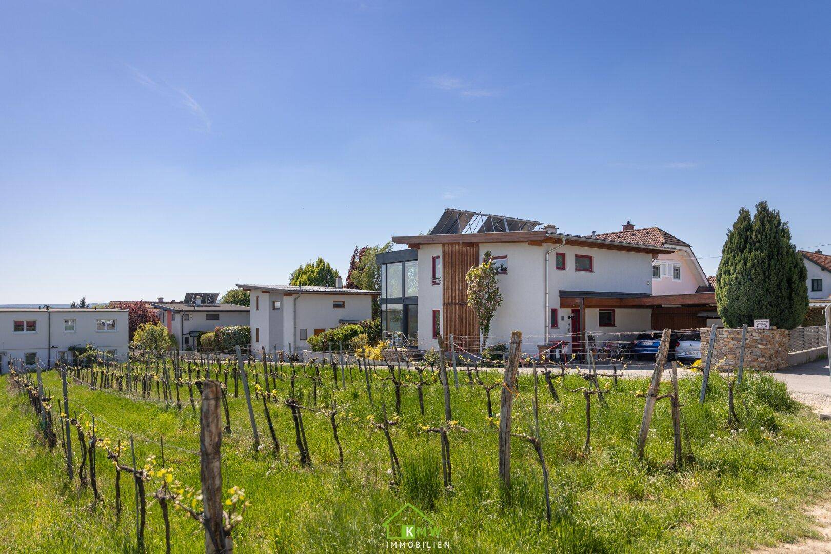 Modernes Wohnhaus in ländlicher Umgebung mit angrenzendem Weinberg und viel Grün.