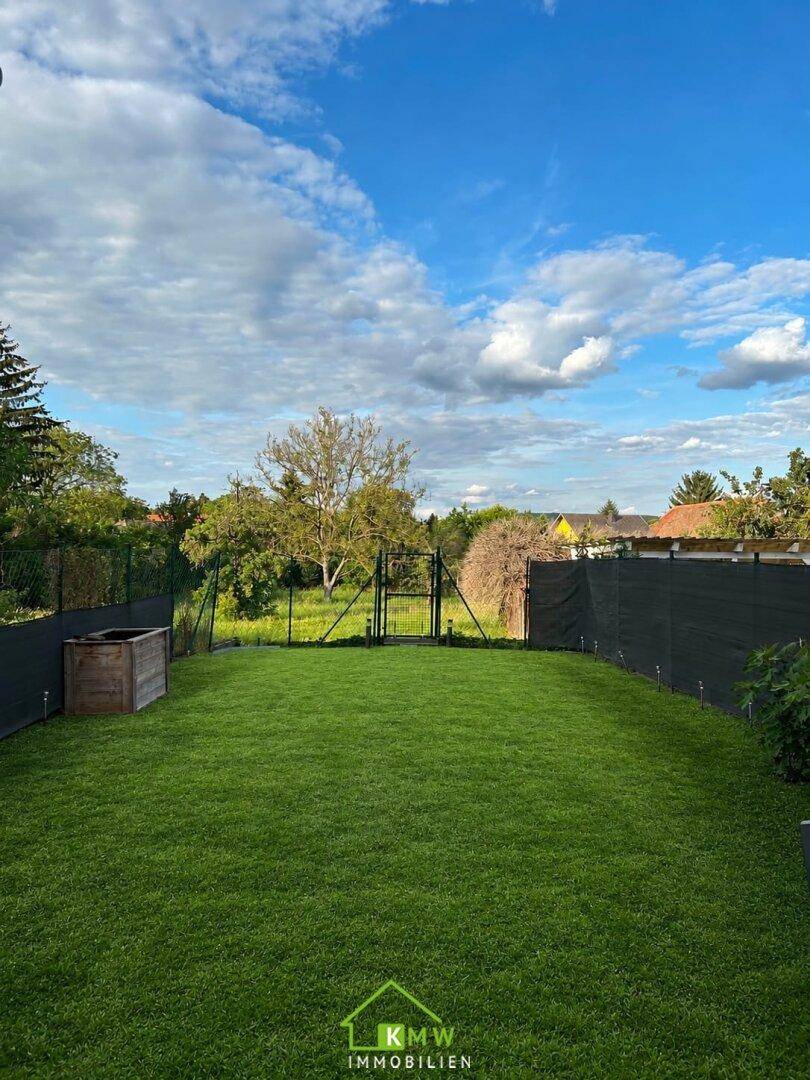 Großer, gepflegter Rasen im Gartenbereich mit Bäumen und Zaun im Hintergrund.