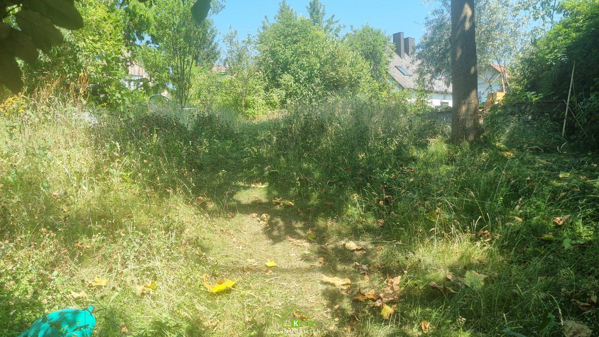 Verwilderter Gartenbereich mit hohem Gras und einem Pfad, umgeben von üppiger Natur.