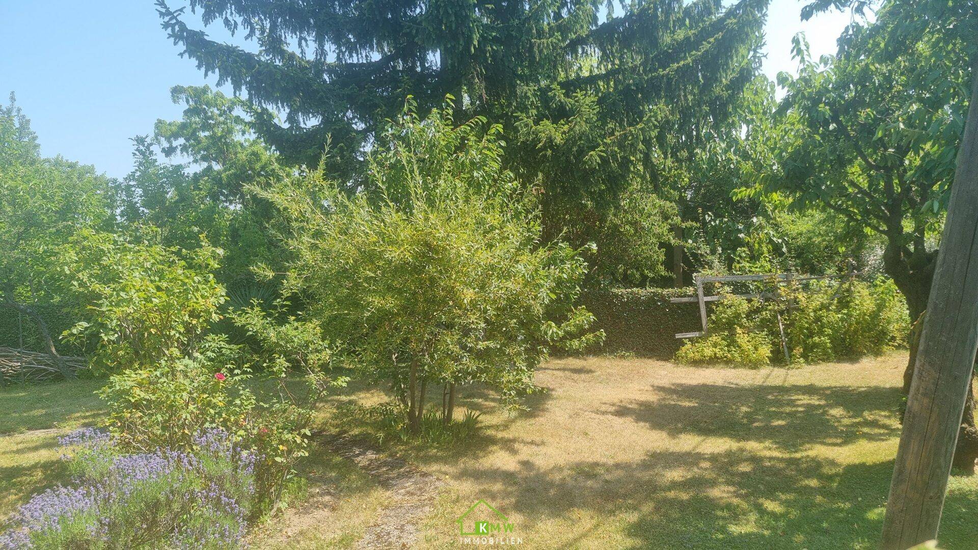Naturbelassener Garten mit verschiedenen Sträuchern, Blumen und sonnigen Rasenflächen.