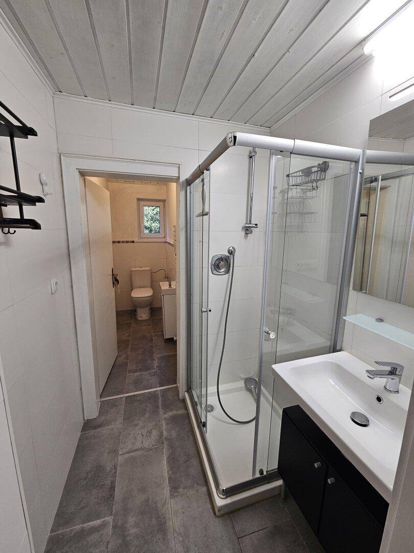Modernes Badezimmer mit Duschkabine, Waschbecken und Blick in ein separates WC.