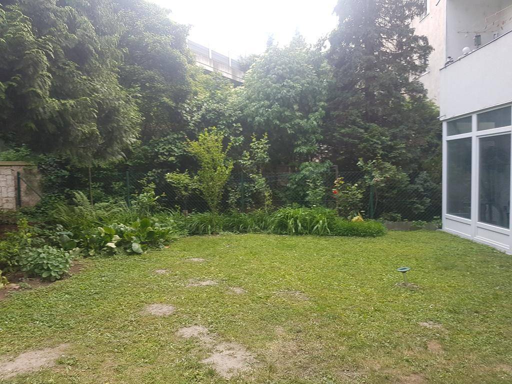Gepflegte Rasenfläche im Garten neben dem Gebäude mit großen Fenstern.